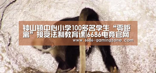 钟山镇中心小学100多名学生“零距离”接受法制教育课|6686电竞官网(图4) 6686APP下载