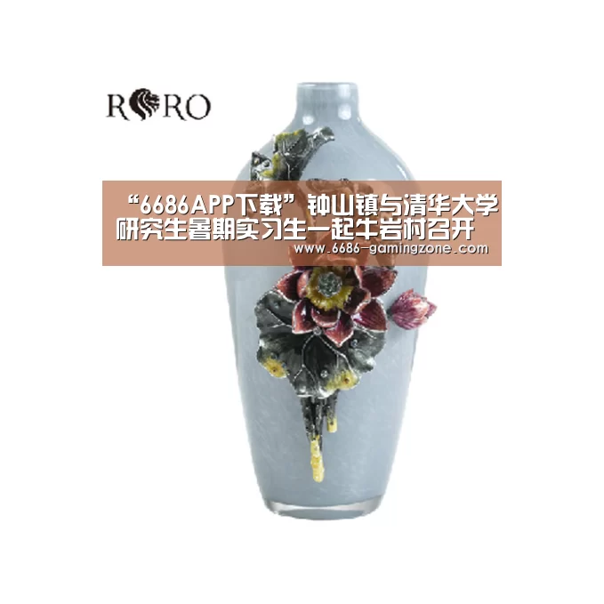 “6686APP下载”钟山镇与清华大学研究生暑期实习生一起牛岩村召开“不忘初心、牢记使命”主题教育活动(图1) 6686体育平台