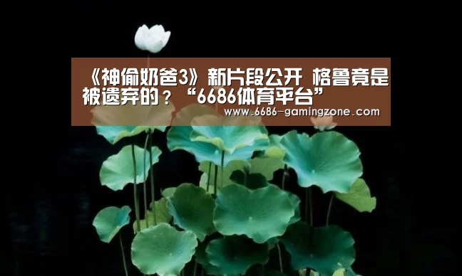 6686APP下载