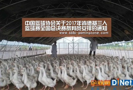 6686体育平台