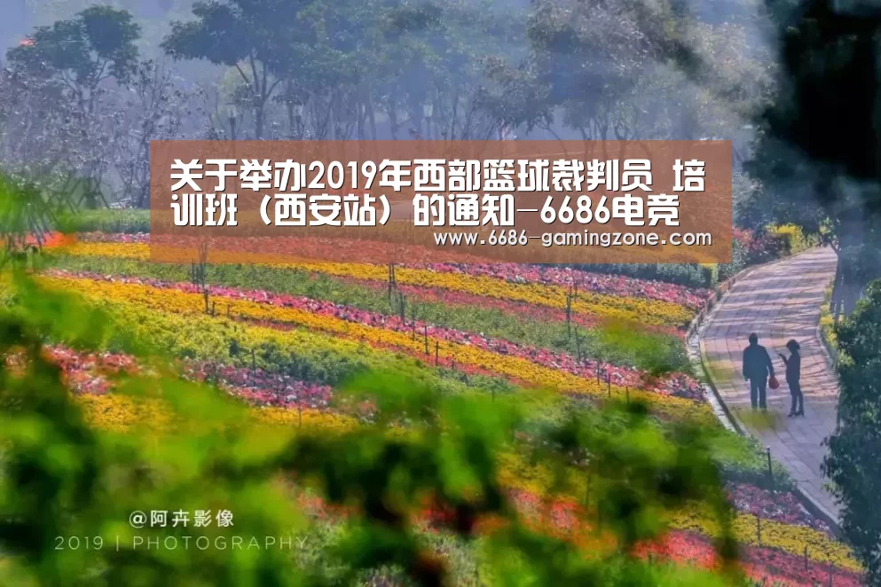 6686体育直播