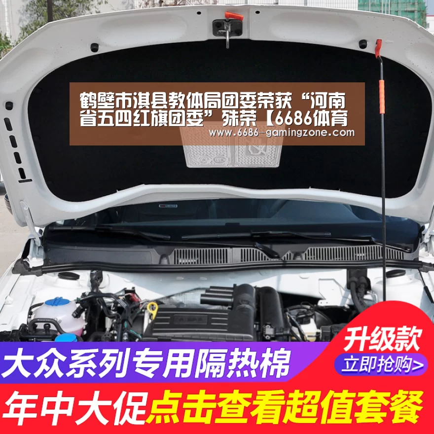 鹤壁市淇县教体局团委荣获“河南省五四红旗团委”殊荣【6686体育直播】(图2) 6686电竞官网