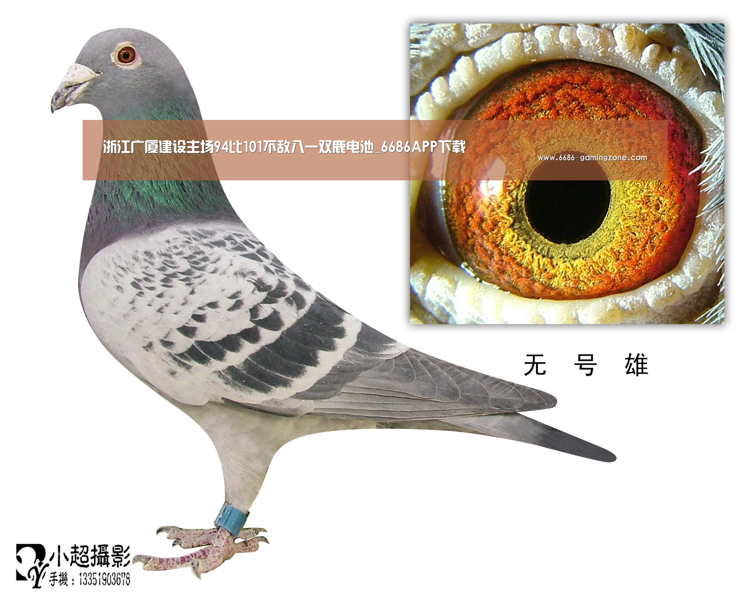 6686体育平台